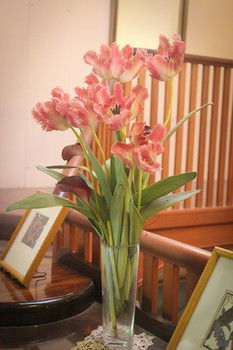Hotel Avonleigh - Accommodation Tasmania 30