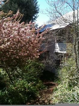 Hotel Avonleigh - Accommodation Tasmania 45