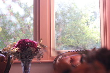Hotel Avonleigh - Accommodation Tasmania 46