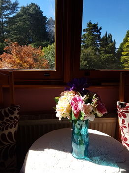 Hotel Avonleigh - Accommodation Tasmania 66