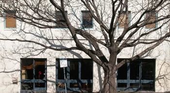 Lily Sands Inn - Accommodation Tasmania 6