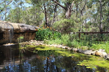 Storey Grange - Accommodation Tasmania 12