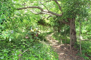 Storey Grange - Accommodation Tasmania 13