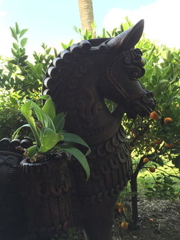 Lilies Luxury Retreats - Accommodation Tasmania 22