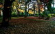 Moulton Park Estate - thumb 18