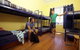Bondi Beachouse Backpackers YHA - Hostel/Backpacker - thumb 23