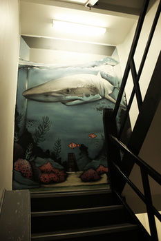 Sydney Backpackers - Hostel - Accommodation Tasmania 30