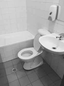 Elephant Backpacker Sydney - Hostel - Accommodation Tasmania 25