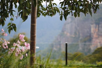 Echoes Boutique Hotel And Restaurant - Accommodation Tasmania 13