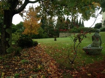 Silvermere - Accommodation Tasmania 10