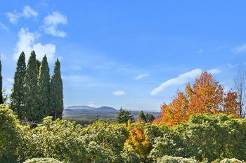 Silvermere - Accommodation Tasmania 22