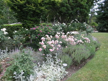 Silvermere - Accommodation Tasmania 33