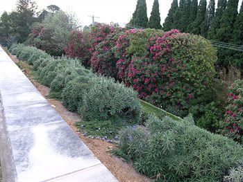 Silvermere - Accommodation Tasmania 0