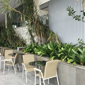 Best Western Premier Hotel 115 Kew - Accommodation Tasmania 22