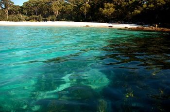 Worrowing At Jervis Bay - Accommodation Tasmania 98
