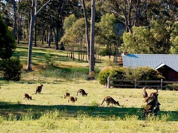 Worrowing At Jervis Bay - Accommodation Tasmania 101