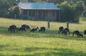 Worrowing At Jervis Bay - Accommodation Tasmania 31
