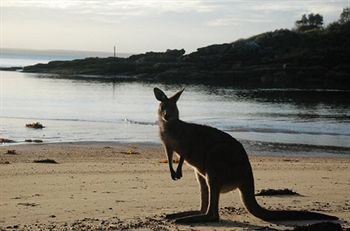 Worrowing At Jervis Bay - Accommodation Tasmania 35