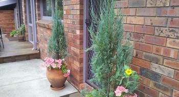 Crimson Villa - Accommodation Tasmania 25