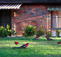Crimson Villa - Accommodation Tasmania