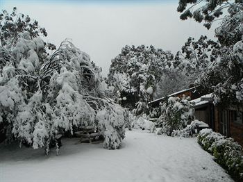 Crimson Villa - Accommodation Tasmania 1