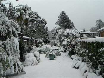 Crimson Villa - Accommodation Tasmania 3