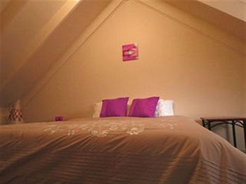 Barrington Wilderness Cedar Lodge Accommodation - Accommodation Tasmania 2