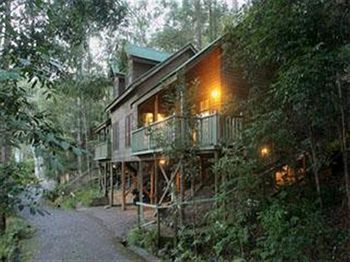 Barrington Wilderness Cedar Lodge Accommodation - Accommodation Tasmania 3