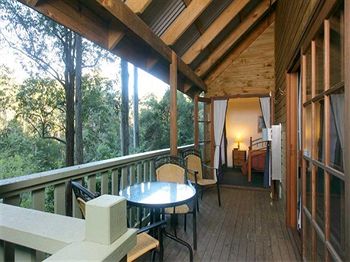 Barrington Wilderness Cedar Lodge Accommodation - Accommodation Tasmania 5