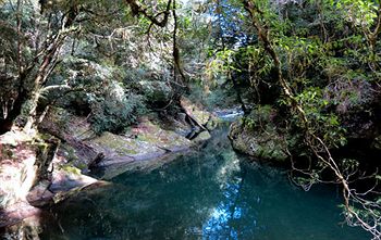 Barrington Wilderness Cedar Lodge Accommodation - Accommodation Tasmania 11