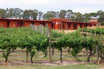 De'Vine Escape - Accommodation Tasmania 4