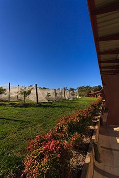 De'Vine Escape - Accommodation Tasmania 5