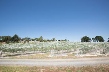 De'Vine Escape - Accommodation Tasmania 12
