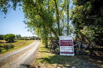 De'Vine Escape - Accommodation Tasmania 22