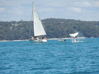 Paradise Bungalow - Accommodation Tasmania 4