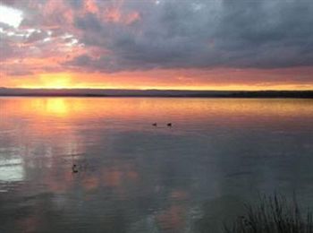 Paradise Bungalow - Accommodation Tasmania 6