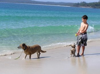 Paradise Bungalow - Accommodation Tasmania 19