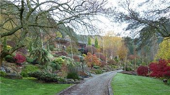 Mast Gully Gardens Bed & Breakfast - Accommodation Tasmania 0