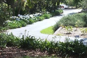 Terrigal Hinterland Bed And Breakfast - Accommodation Tasmania 10