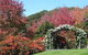 Terrigal Hinterland Bed And Breakfast - thumb 11