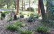 Terrigal Hinterland Bed And Breakfast - thumb 20