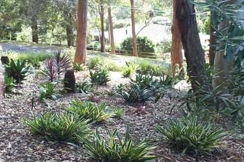 Terrigal Hinterland Bed And Breakfast - Accommodation Tasmania 20
