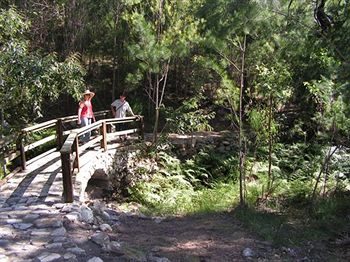 Glass House Mountains Ecolodge - Accommodation Tasmania 9
