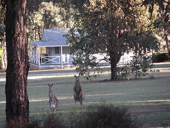 Cam-Way Estate - Accommodation Tasmania 3
