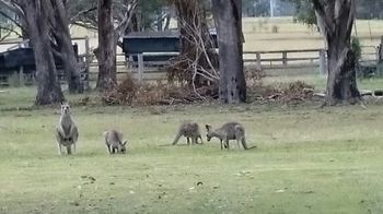 Cam-Way Estate - Accommodation Tasmania 23