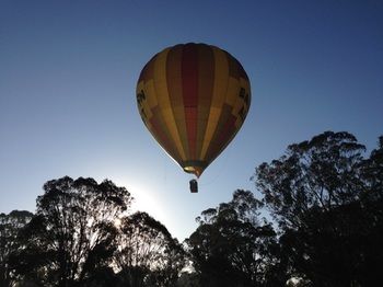 Cam-Way Estate - Accommodation Tasmania 25