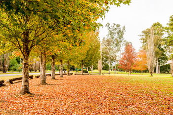 Retreat At Wisemans - Accommodation Tasmania 12