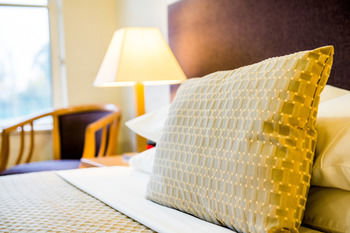 Retreat At Wisemans - Accommodation Tasmania 13