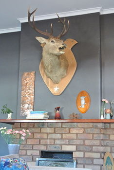 Vine Valley Inn - Accommodation Tasmania 49