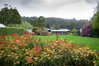 CountryPlace - Accommodation Tasmania 8